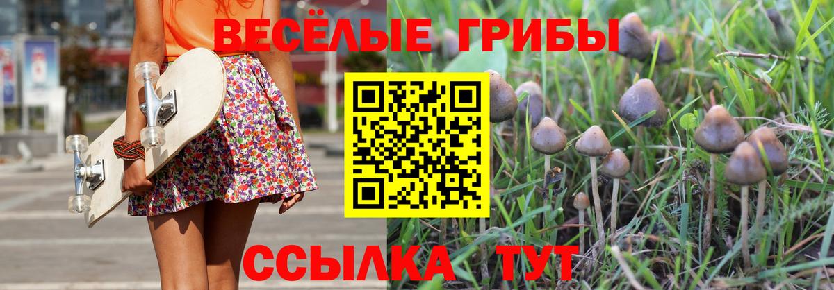 Галлюциногенные грибы Cubensis Волжский
